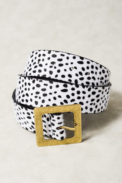 Black and white polka dot belt with a gold buckle on a light gray background