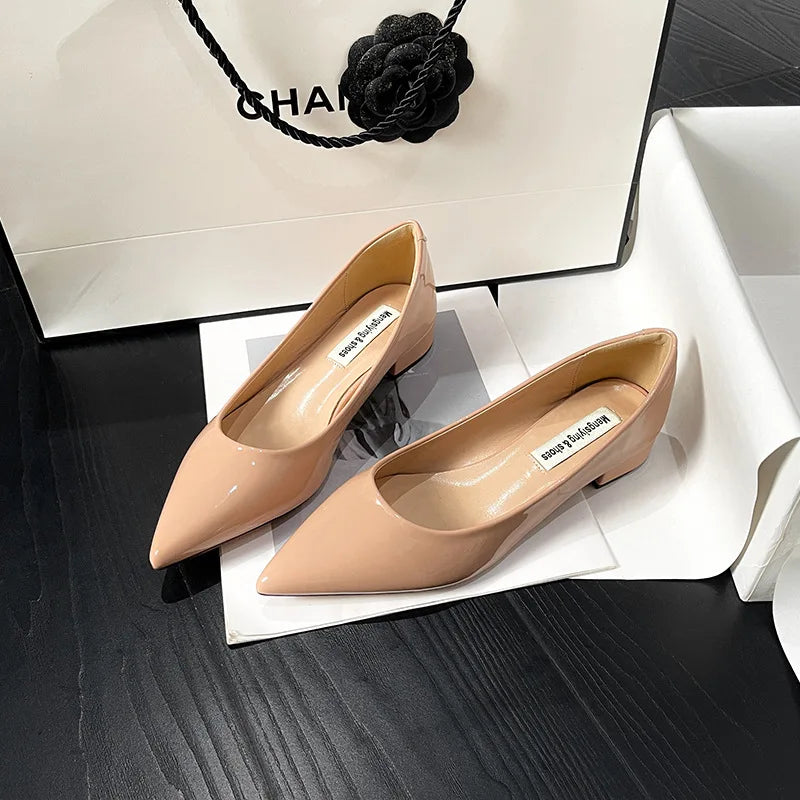 Women's Pointed Toe Flat Shoes New Spring Autumn French Style Nude Color Women's Shoes Outdoor Fashion High Heels Party