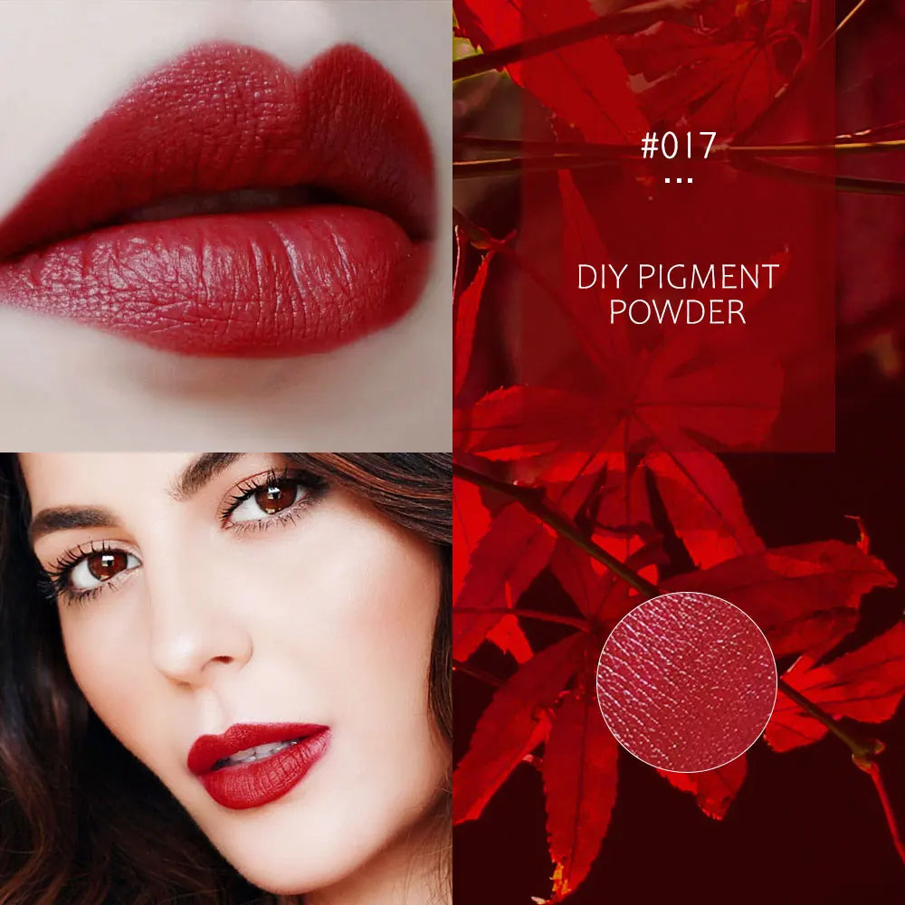 1g Brand New DIY Lip gloss Pigment Powder - Lipstick Pigment for DIY Lip gloss, Powder Pigment Makeup Lip Stick Comestics