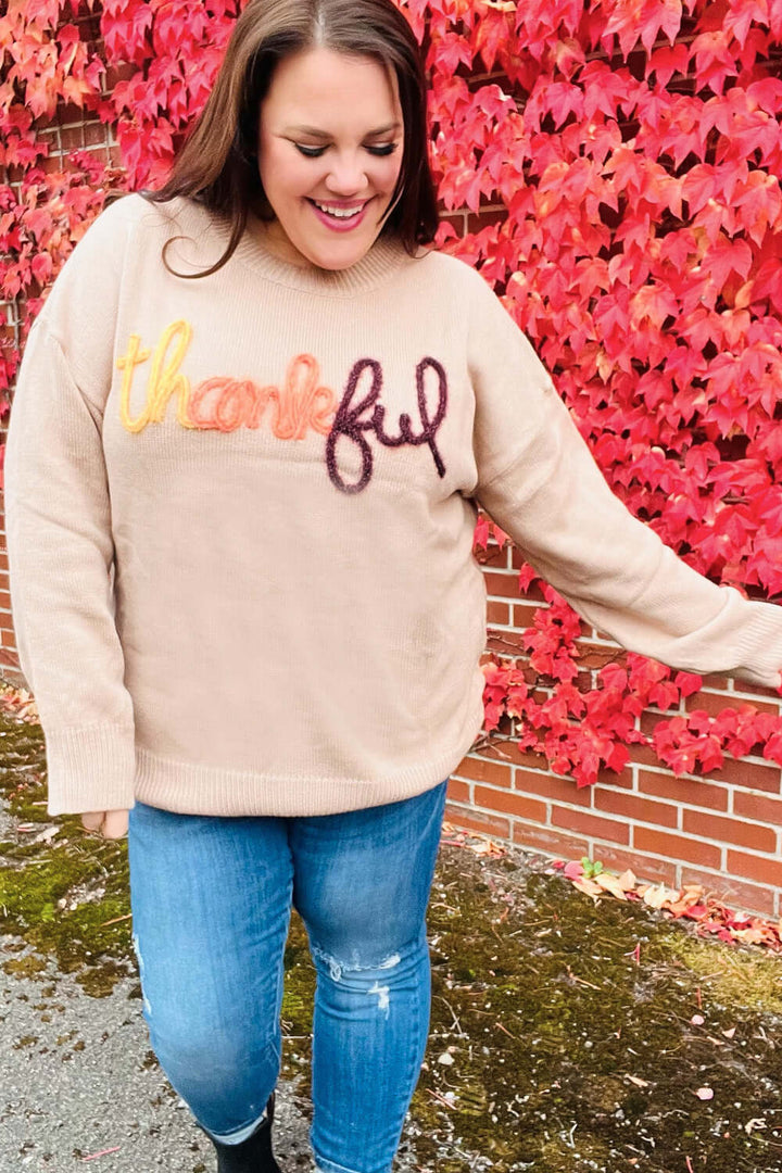 Feeling Thankful Taupe Pop Up Glittery Embroidery Sweater | Nikki &amp; Co. Boutique