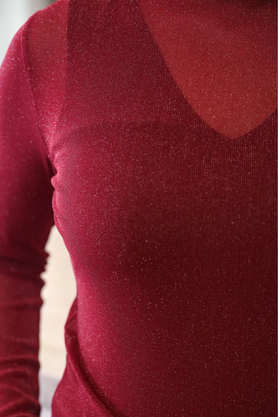 Jess Lea Keigan Glitter Long Sleeve Mesh Top – Maroon (NP) - Nikki &amp; Co. Boutique