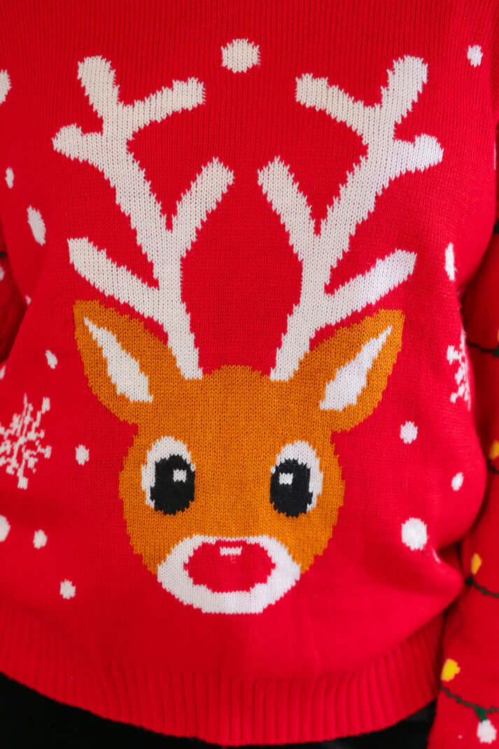 Reindeer Holiday Sweater (NP) - Nikki &amp; Co. Boutique