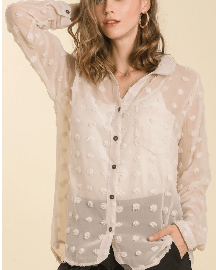 Sheer Collar Button Down Swiss Dot Top (NP) - 2 Colors | Nikki &amp; Co. Boutique