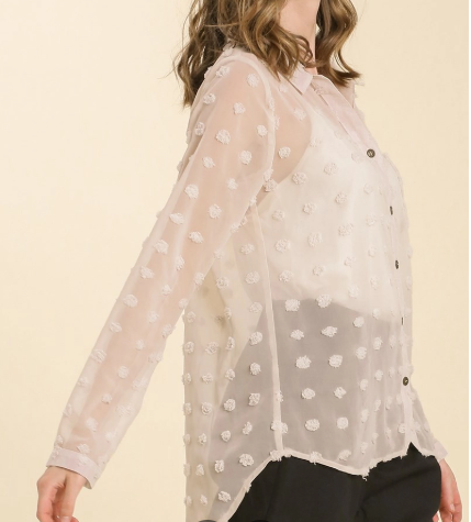 Sheer Collar Button Down Swiss Dot Top (NP) - 2 Colors