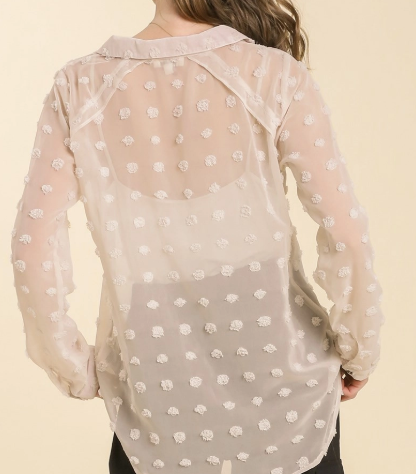 Sheer Collar Button Down Swiss Dot Top (NP) - 2 Colors